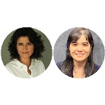 CNJ aprovou a Justiça 100% digital - Ônus e bônus