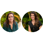  (Imagem: Arte Migalhas)