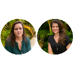 A declaração de inconstitucionalidade do artigo 16 da Lei da Ação Civil Pública.