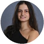 Os freios e contrapesos na proteção da democracia