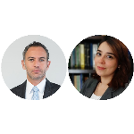 O Judiciário e a interpretação da alienação fiduciária de imóvel em garantia