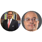 Artigo 225 da Constituição: a defesa do meio ambiente e o papel do STF no equilíbrio das forças políticas e sociais