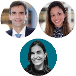 Contratos de afretamento de embarcações e sua interpretação pelos Tribunais pátrios