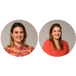 As novas cláusulas BIMCO para redução das emissões de gases de efeito estufa pela navegação internacional para o atingimento dos objetivos de desenvolvimento sustentável da ONU