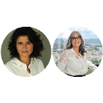 A violência patrimonial doméstica e a necessária revogação das escusas absolutórias. Imediata aprovação do PL 3.764-B/04