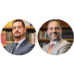 A função social da blindagem patrimonial à luz do ordenamento jurídico: A teoria do afastamento do risco integral, cíclico e sistêmico