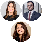 Nova lei de concessões: Amadurecimento do sistema jurídico da infraestrutura como meio de atração de investimentos