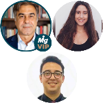 Asset holding companies and estate planning analysis