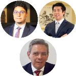 Bicentenário da "Synopse do Codigo do processo civil" (II)