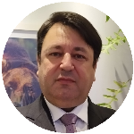 A lei Magnitsky em pauta: Como ficam os direitos individuais?