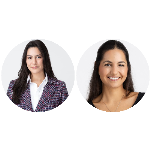 O julgamento da questão de ordem no Tema 1.255 pelo STF e suas repercussões