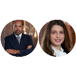 O princípio da deferência e o STF: O confronto entre decisões de órgãos técnicos e o controle judicial