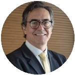 O fenômeno da antecipação da eleição. Análise do requerimento de declaração de elegibilidade