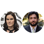 Aspectos jurídicos e econômicos da lei de cotas nos conselhos empresariais (lei 15.177/25)