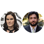 Aspectos jurídicos e econômicos da lei de cotas nos conselhos empresariais (lei 15.177/25)