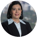 Celeridade decisória, risco ambiental e judicialização: Limites jurídicos da flexibilização do licenciamento ambiental no novo marco normativo