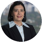 Celeridade decisória, risco ambiental e judicialização: Limites jurídicos da flexibilização do licenciamento ambiental no novo marco normativo