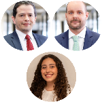 Contratos de franquia e a reforma do Código Civil (PL 4/25): Entre paridade, simetria e adesão