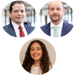 Contratos de franquia e a reforma do Código Civil (PL 4/25): Entre paridade, simetria e adesão