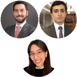 Guilherme Lerer,Guilherme Bernardes,Luiza Terra