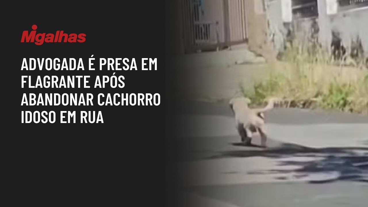 Advogada é presa em flagrante após abandonar cachorro idoso em rua