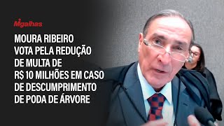 Moura Ribeiro vota pela redução de multa de R$10 milhões em caso de descumprimento de poda de árvore Moura Ribeiro vota pela redução de multa de R$10 milhões em caso de descumprimento de poda de árvore