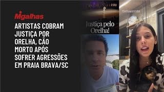 Artistas cobram justiça por Orelha, cão morto após sofrer agressões em Praia Brava/SC