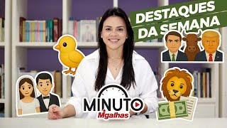 Gafe em audiência, carne bolsonarista e leão domado no Minuto Migalhas | 3.10.25