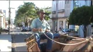 dr. Pintassilgo: Passos/MG