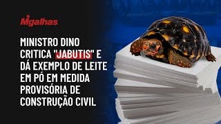 Ministro Dino critica "jabutis" e dá exemplo de leite em pó em medida provisória de construção civil