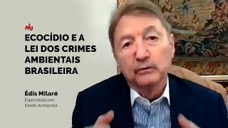 Ecocídio deve virar crime no Brasil?