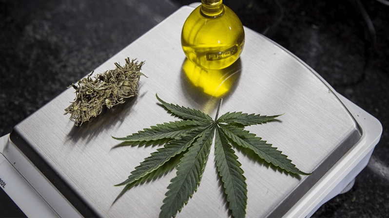  (Imagem: Adriano Vizoni/Folhapress)