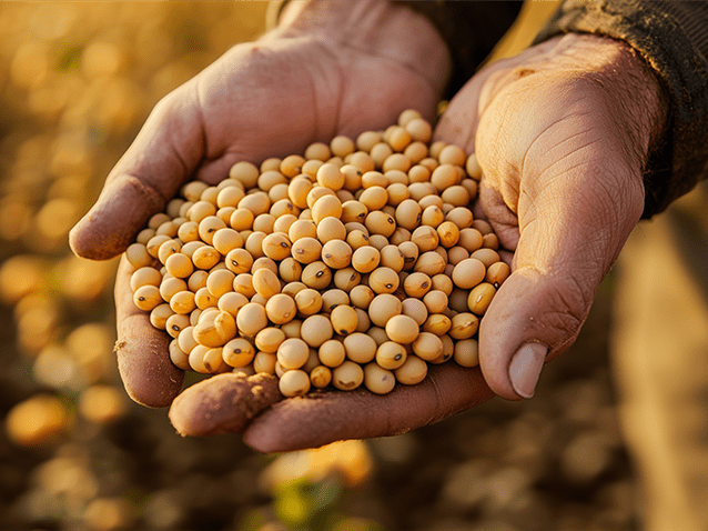 (Imagem: Freepik) (Imagem: Freepik)