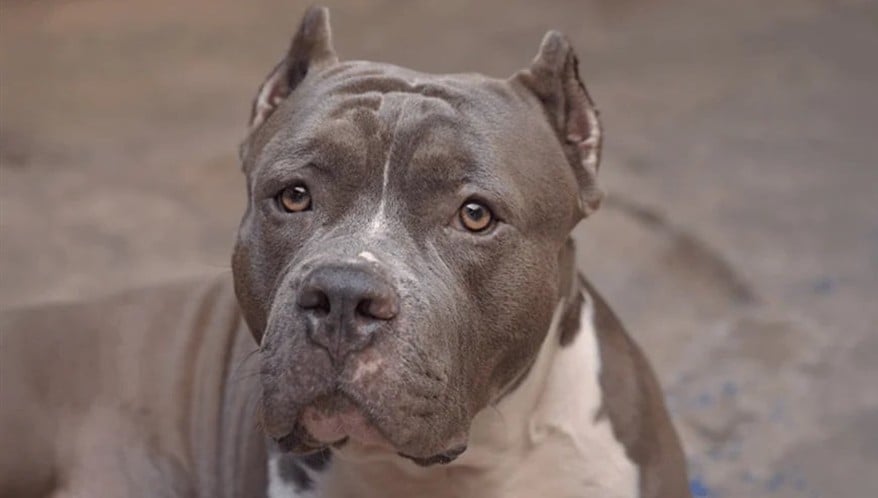  (Imagem: Adobe Stock)