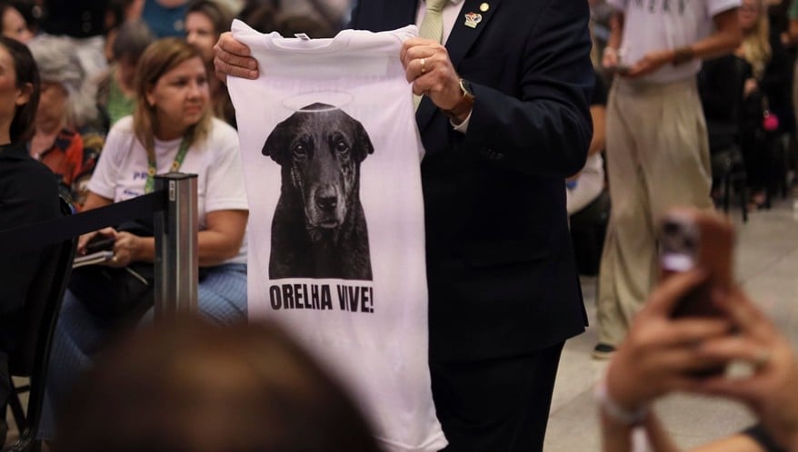  (Imagem: Ueslei Marcelino/MMA)