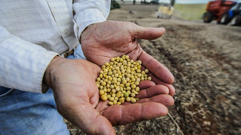  (Imagem: Anderson Coelho/iShoot/Folhapress)