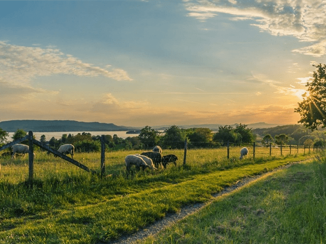 TJ/SP afasta impenhorabilidade de pequena propriedade rural