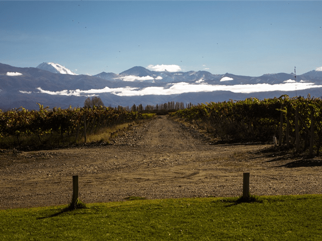 (Imagem: Roberto de Oliveira/Folhapress) (Imagem: Roberto de Oliveira/Folhapress)