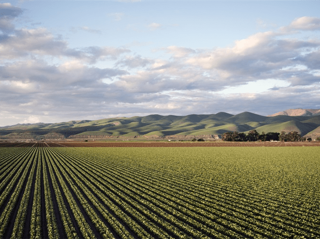 Contrato de uso de terras antes de sua venda afasta "posse injusta" Contrato de uso de terras antes de sua venda afasta "posse injusta"