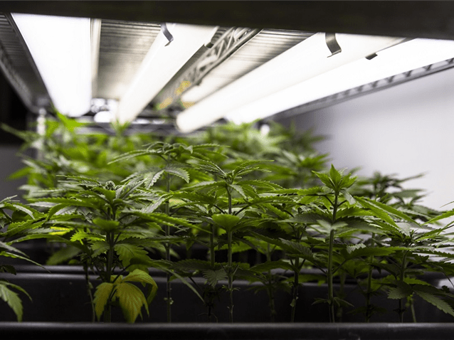  (Imagem: Adriano Vizoni/Folhapress)