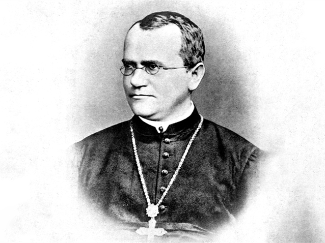  (Imagem: William Bateson.)