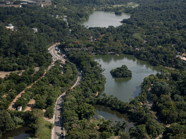  (Imagem: Reprodução/Wikipédia)