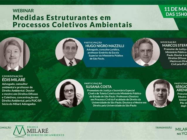 Medidas Estruturantes em Processos Coletivos Ambientais