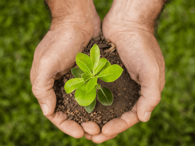 (Imagem: Freepik.) (Imagem: Freepik.)