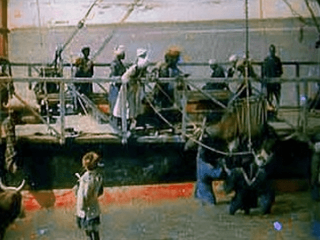 (Imagem: Reprodução.) (Imagem: Reprodução.)