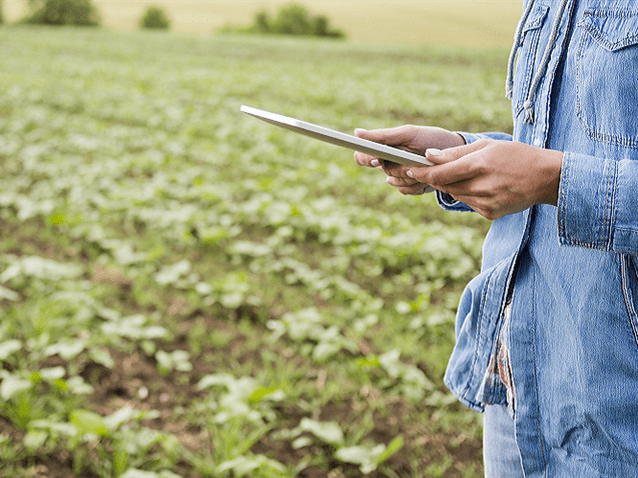 Advogado analisa regulações para o agronegócio em 2025 Advogado analisa regulações para o agronegócio em 2025