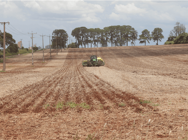 Agricultores afetados por crise climática obtêm recuperação judicial