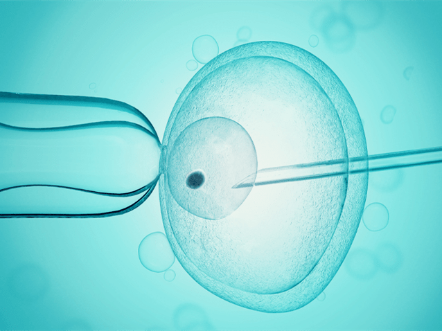 Trabalhadora poderá sacar FGTS para realizar fertilização in vitro