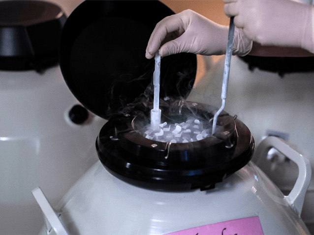 Plano deve custear congelamento de óvulos de paciente com câncer