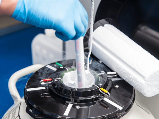 Paciente com endometriose terá congelamento de óvulos custeado por plano